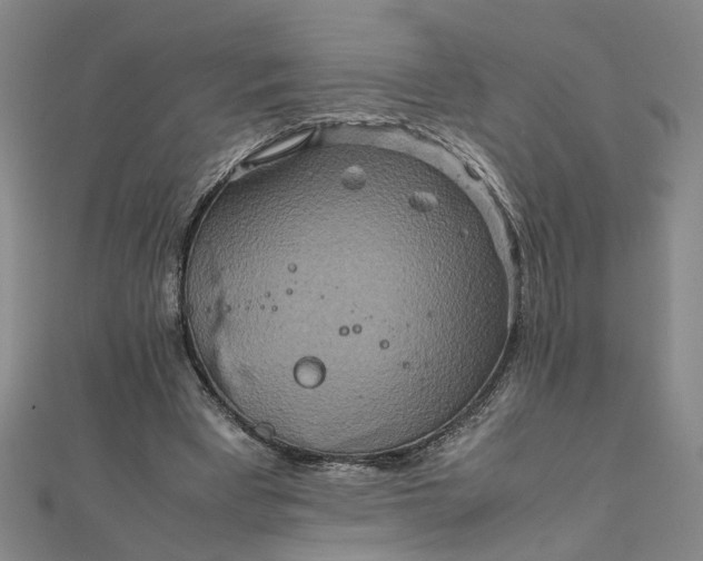 X0000111900393200908101144