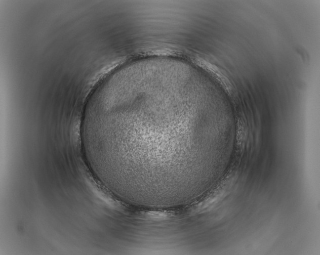 X0000111900394200908101144