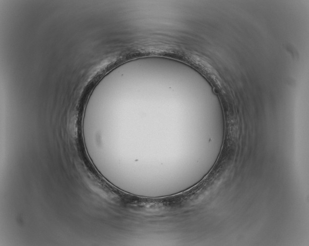 X0000111900395200908101144