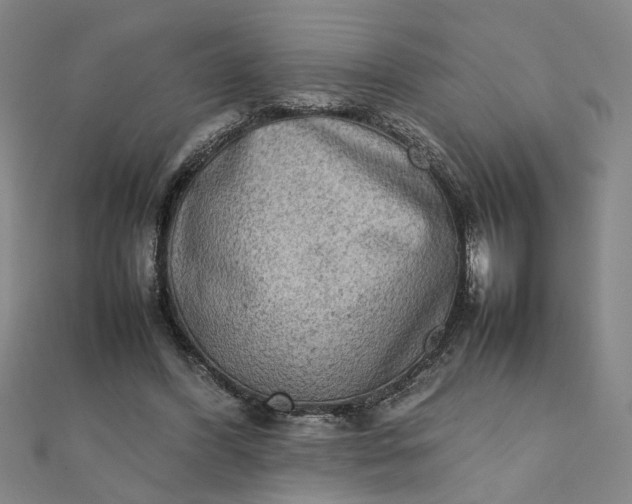 X0000111900396200908101144