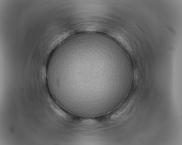 X0000111900397200908101144