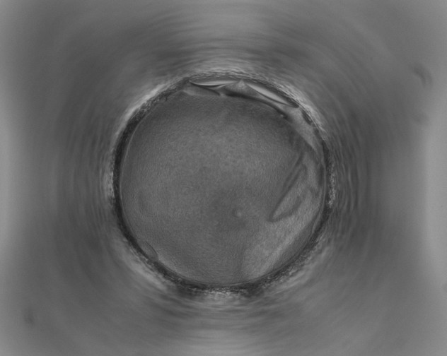 X0000111900399200908101144