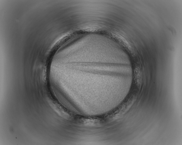 X0000111900400200908101144