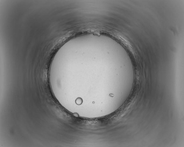 X0000111900401200908101144