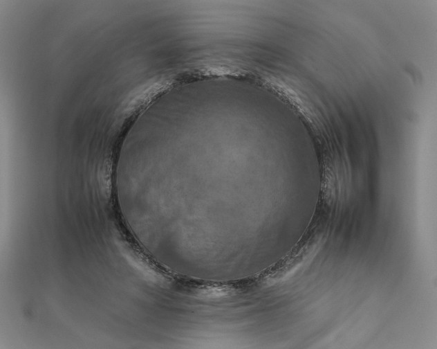 X0000111900402200908101144