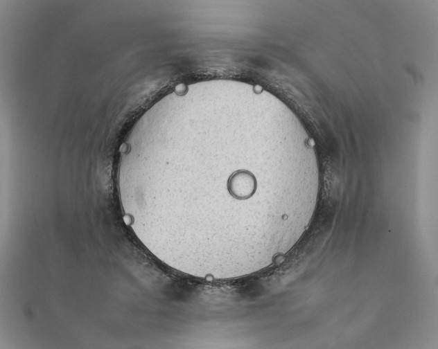 X0000111900403200908101144