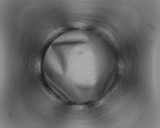 X0000111900404200908101144