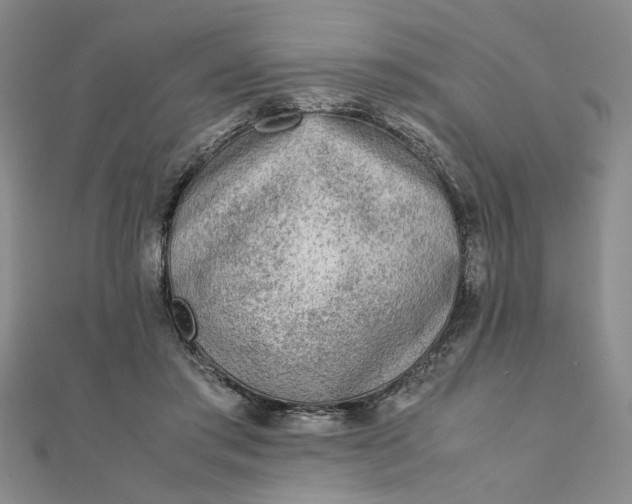 X0000111900405200908101144