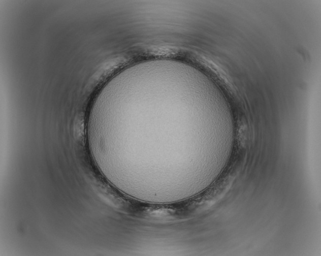 X0000111900407200908101144