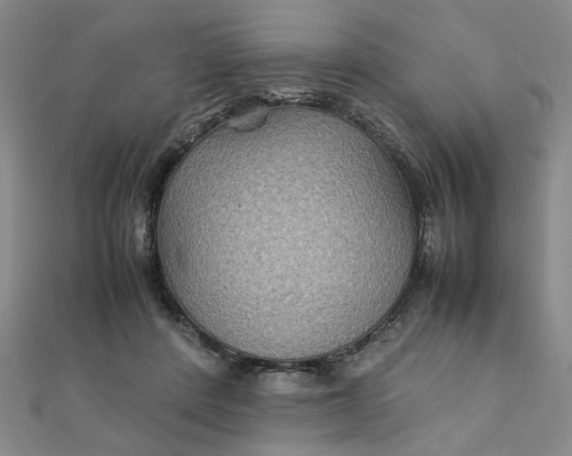 X0000111900408200908101144