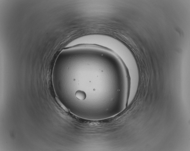 X0000111900409200908101144