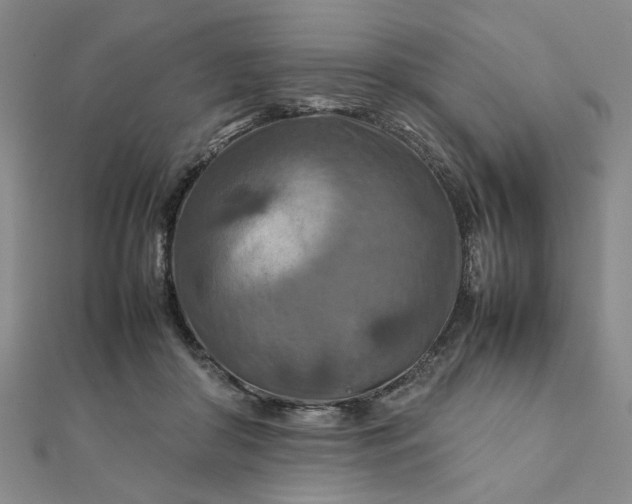 X0000111900410200908101144