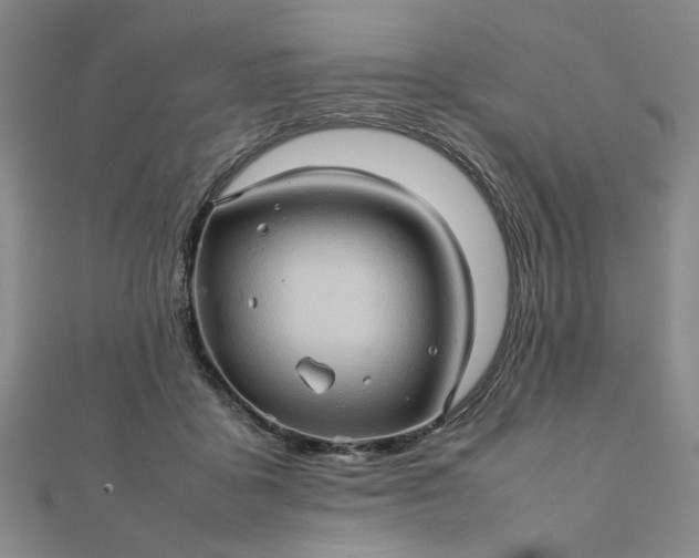 X0000111900411200908101144