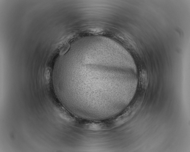 X0000111900412200908101144