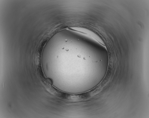 X0000111900413200908101144