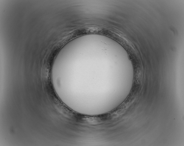 X0000111900417200908101144