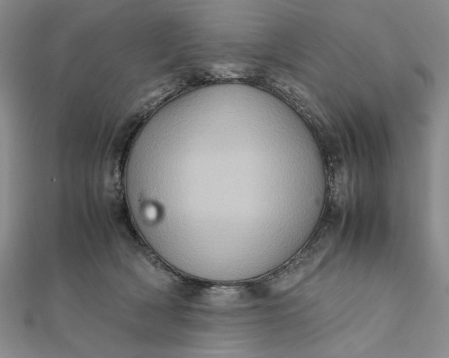 X0000111900418200908101144