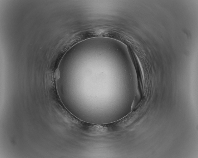 X0000111900421200908101144