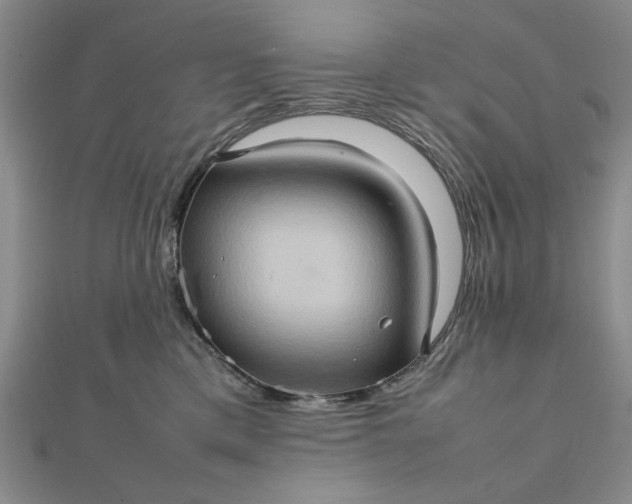 X0000111900425200908101144