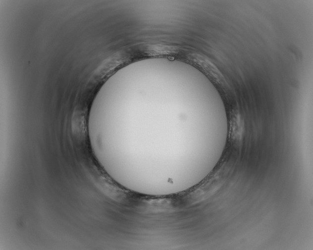 X0000111900426200908101144