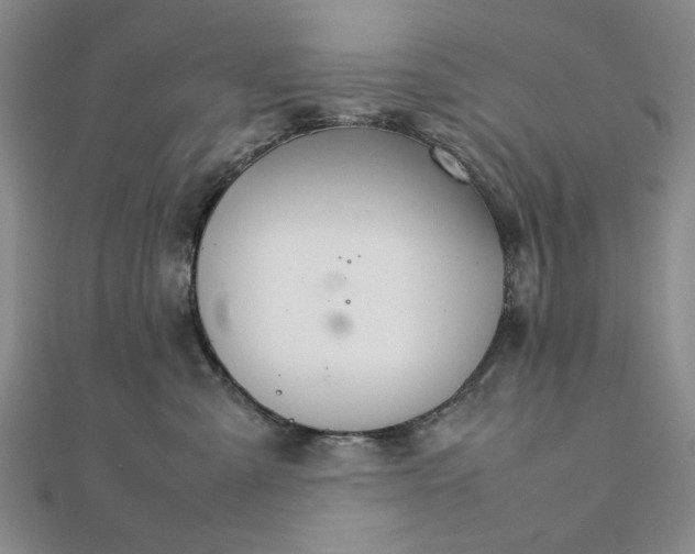 X0000111900427200908101144