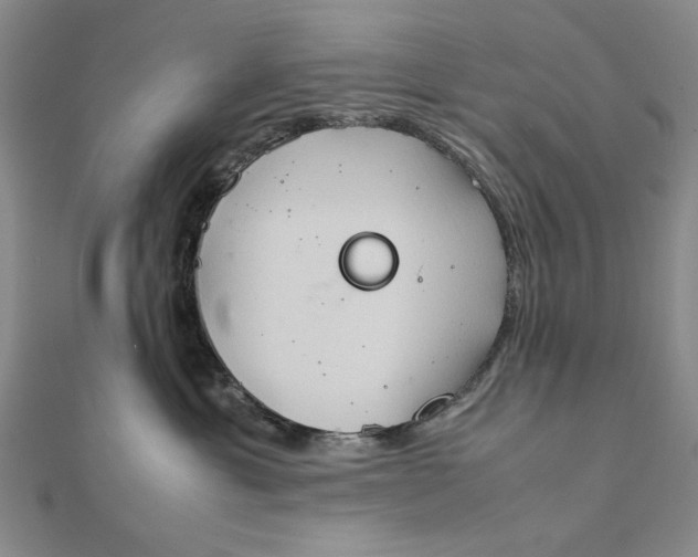 X0000111900429200908101144