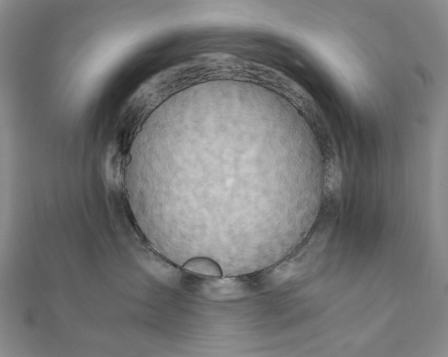 X0000111900431200908101144