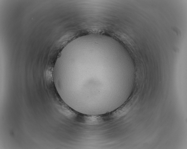 X0000111900432200908101144