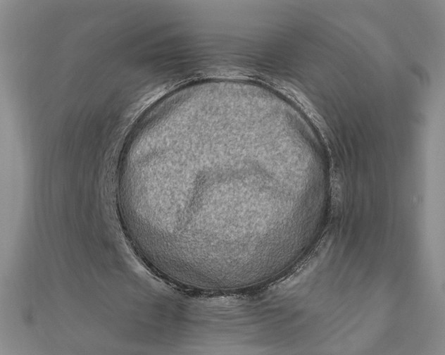 X0000111900433200908101143