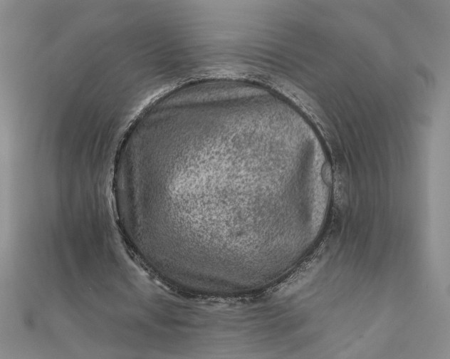 X0000111900434200908101143