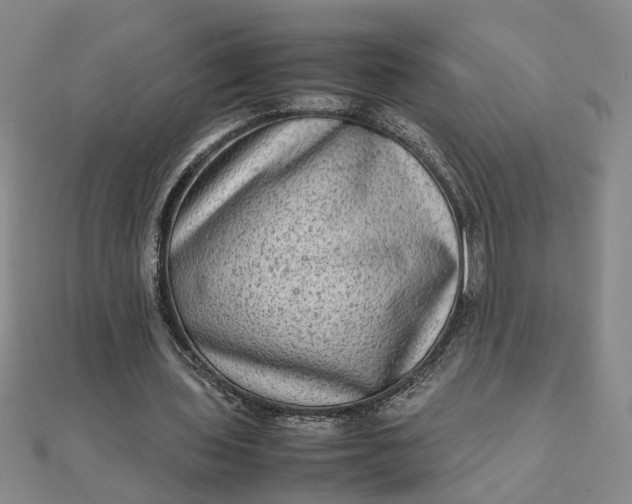 X0000111900435200908101143