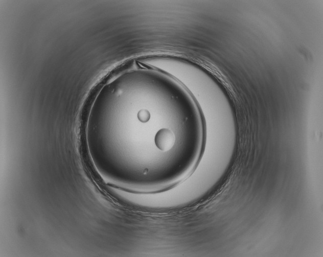 X0000111900436200908101143