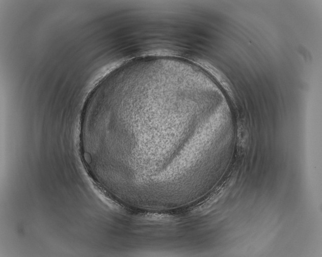 X0000111900437200908101143