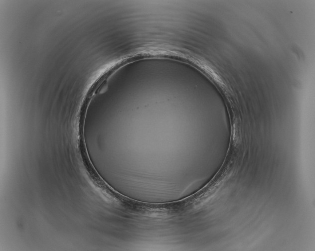 X0000111900438200908101143