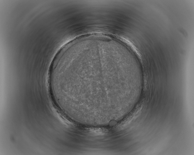 X0000111900439200908101143