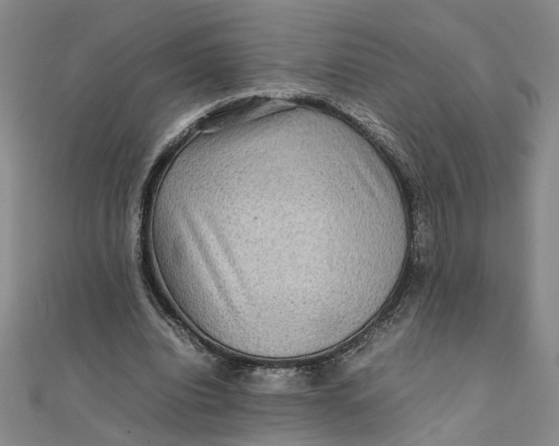 X0000111900440200908101143