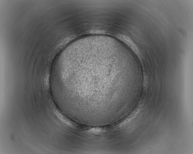 X0000111900441200908101143