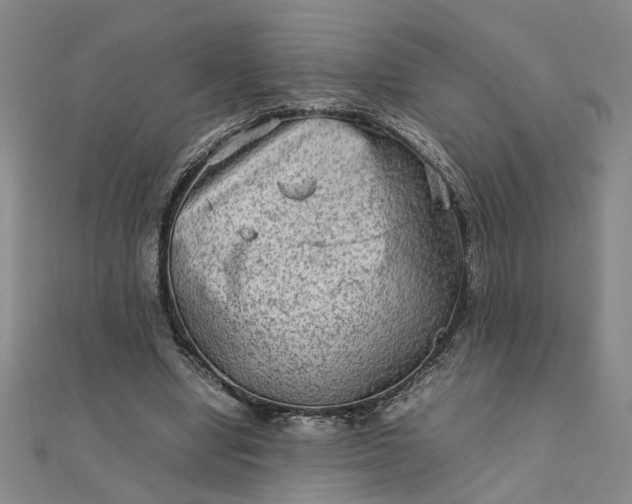 X0000111900442200908101143