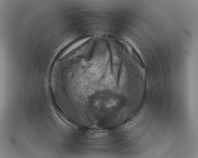 X0000111900443200908101143