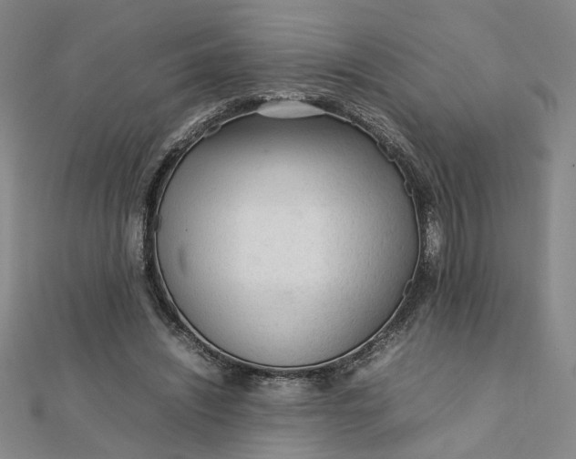 X0000111900444200908101143