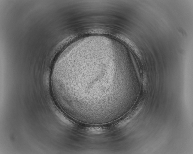 X0000111900445200908101143