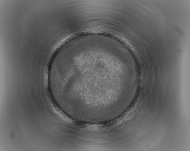 X0000111900446200908101143