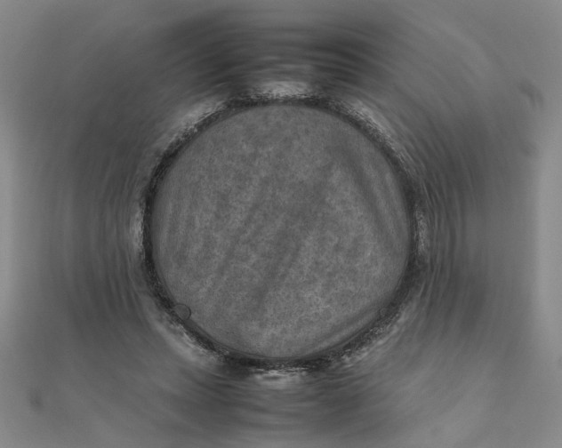 X0000111900447200908101143