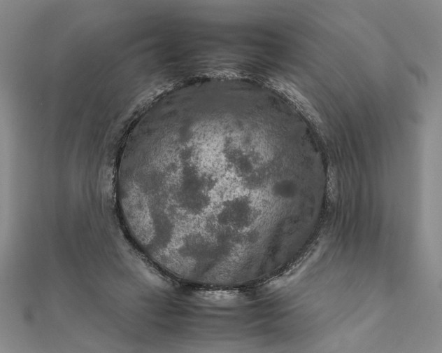 X0000111900449200908101143