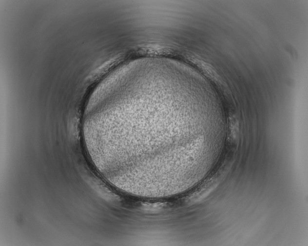 X0000111900450200908101143