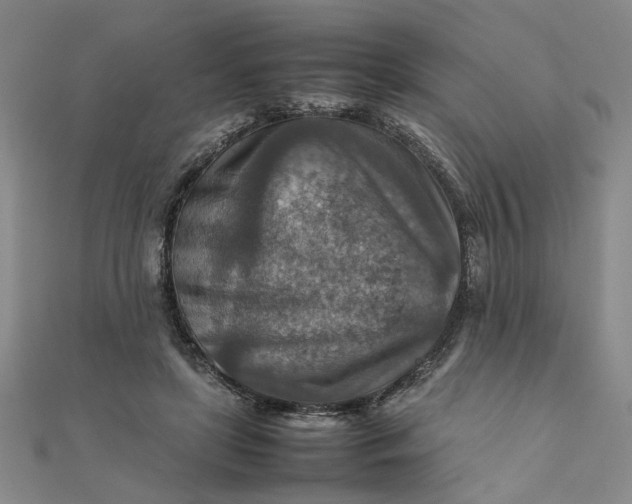 X0000111900451200908101143