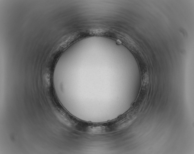 X0000111900452200908101143