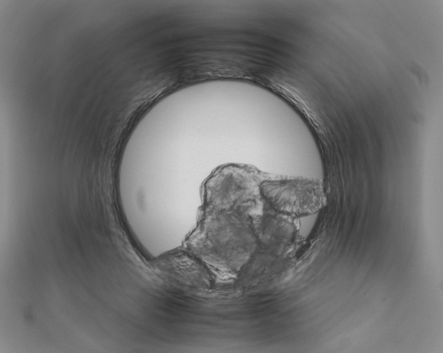 X0000111900453200908101143