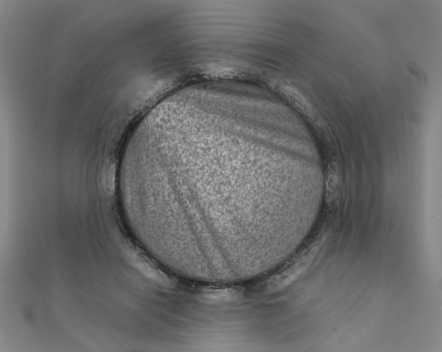 X0000111900454200908101143