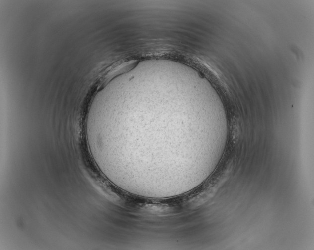 X0000111900455200908101143